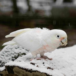 Heute kein fließendes Wasser