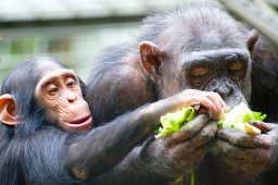 Förderverein Kaffee und Kuchen - Genießen, lachen & Gutes tun