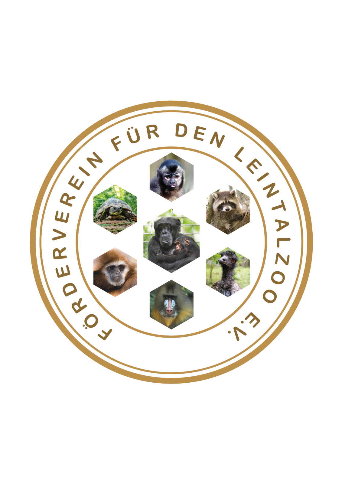 Förderverein Kaffee und Kuchen - Genießen, lachen & Gutes tun